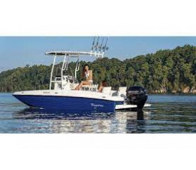 2022 Bayliner T18 Bay